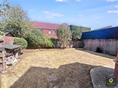 Picture 17